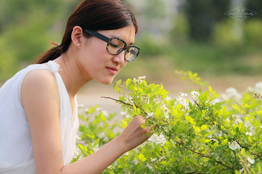 色戒在线观看未删除完整版功能演示
